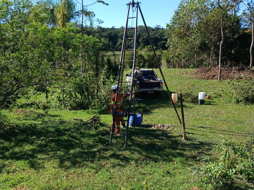 Equipe do Grupo NEV em trabalho de campo em área de mata